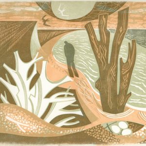 Erosion
