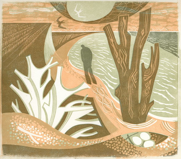 Erosion