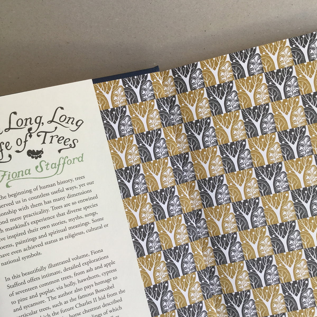 The Long, Long Life of Trees - Image 3
