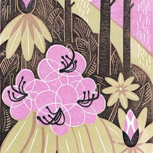 Rhododendron