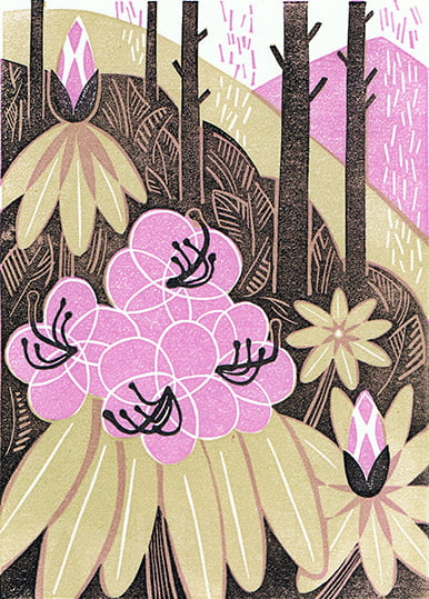 Rhododendron