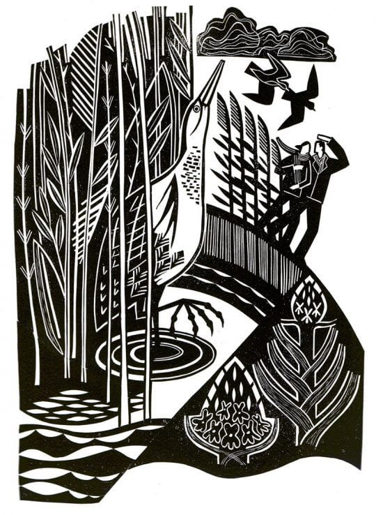 Spring Marsh