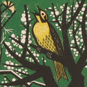 A Natural History of the Hedgerow