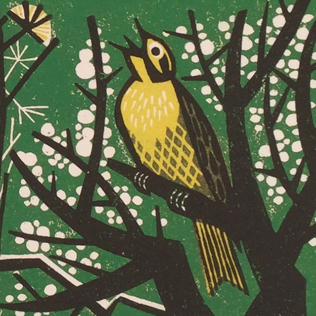 A Natural History of the Hedgerow