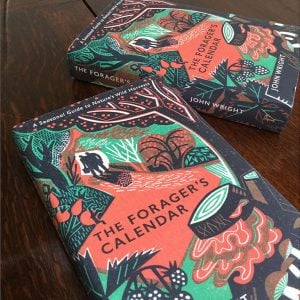 The Forager's Calendar
