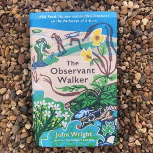 The Observant Walker