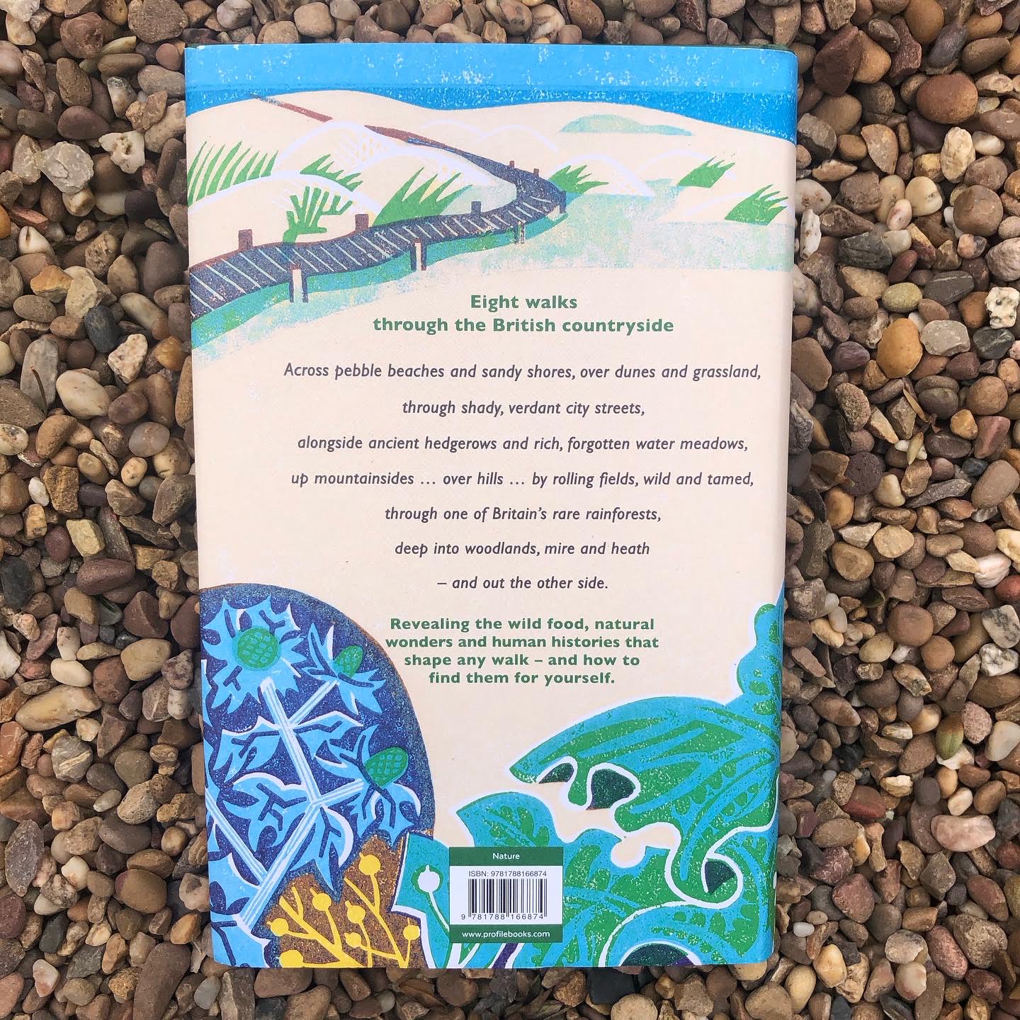 The Observant Walker - Image 2