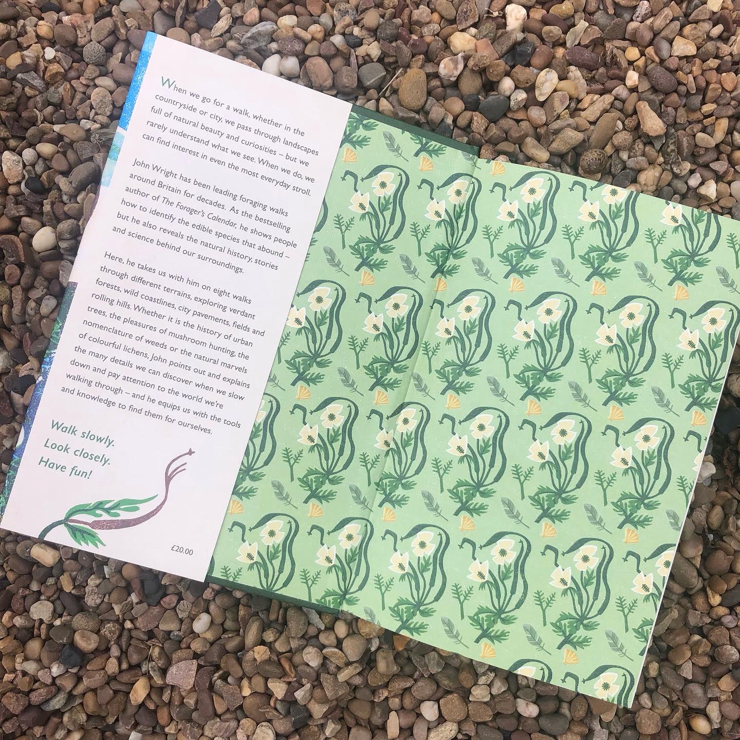 The Observant Walker - Image 3