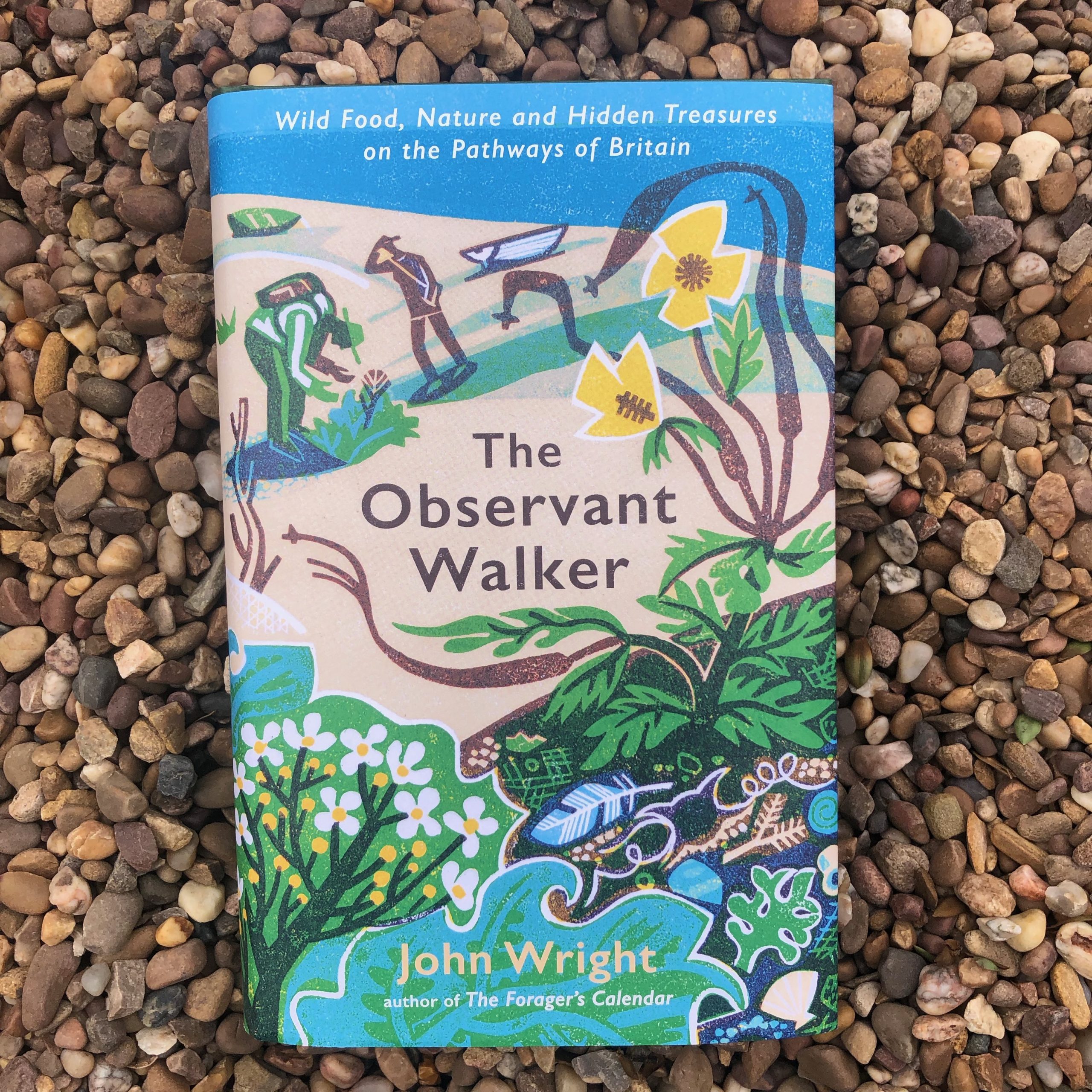 The Observant Walker