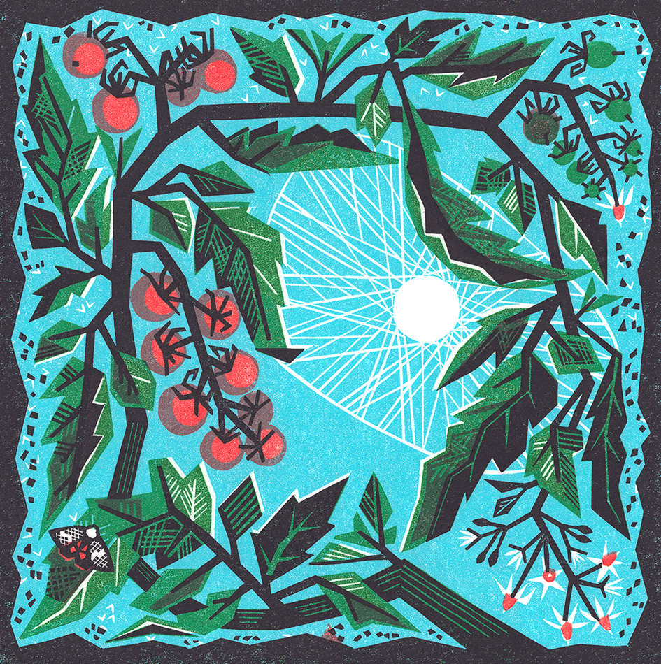 Tomato Vine Scarf - Image 2